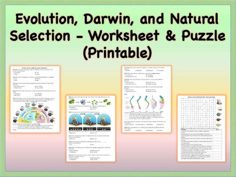 Evolution Darwin And Natural Selection Worksheet And Puzzle Printable Teaching Resources