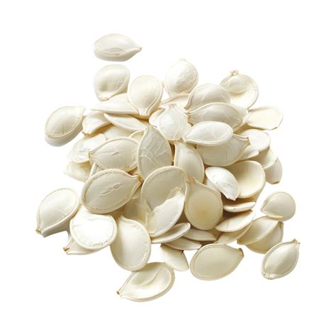 White Beans On Transparent Background 47115439 Png