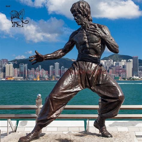 Blve Outdoor Famous Chinese Kung Fu Sculpture Life Size Bronze Bruce