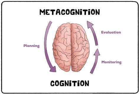 Metacognition - Practical Psychology