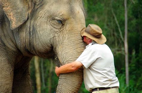 A Man And His Elephant Pics