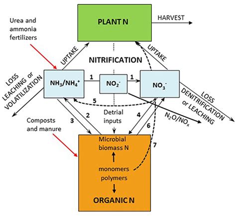 Frontiers Controls And Adaptive Management Of Nitrification In