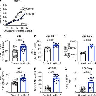 Hetil Delays Tumor Growth And Promotes Tumor Infiltrating