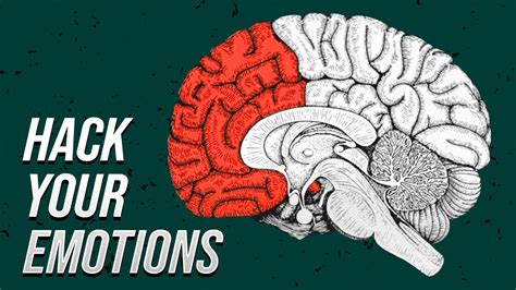 How To Hack Your Brain For Trading Success Youtube