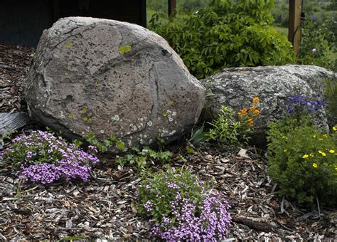 Rock Garden Design Rock Garden Bouldering