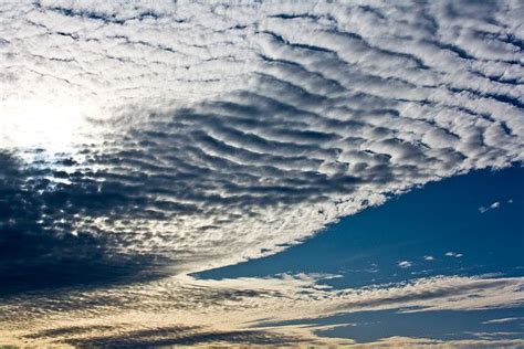 altocumulus, mackerel sky | Clouds, Sky, Waves