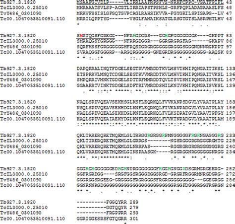 Sequence Analysis Of TbRGG3 ClustalW Alignment Of TbRGG3 From T