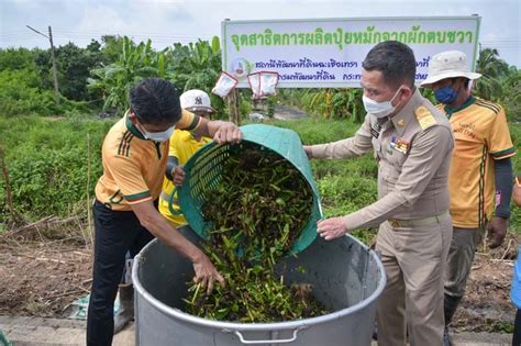 ในประเทศ ‘ฉะเชิงเทราจัดโครงการจัดการ‘ผักตบชวาทำปุ๋ยหมัก ใช้ปรับปรุงบำรุงดิน