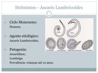 Micro E Parasito Ii Scaris Pptx