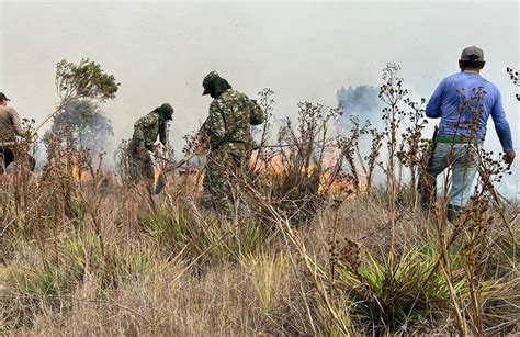 Colombia Combate 31 Incendios Que Arrasaron Casi 11000 Hectáreas De