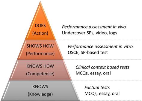 Miller S Pyramid Of Framework For Clinical Assessment Georgie E