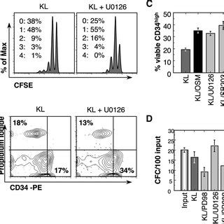 Effect Of Mitogen Activated Protein Kinase Mapk Inhibitors On