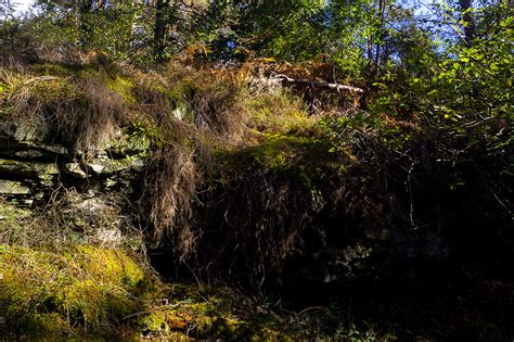 La Forêt de Fontainebleau Erwan Balestreri Photographie