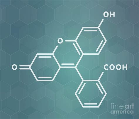 Fluorescein Fluorescent Molecule Photograph By Molekuul Science Photo Library Fine Art America