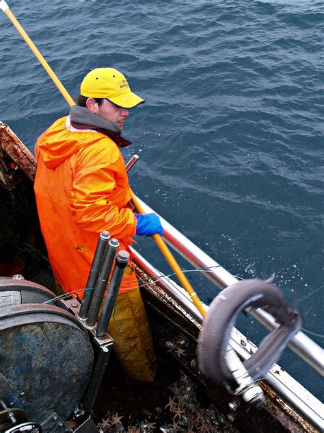 Keroulan La Pesca Con Palangre Pesca Del Congrio Flickr