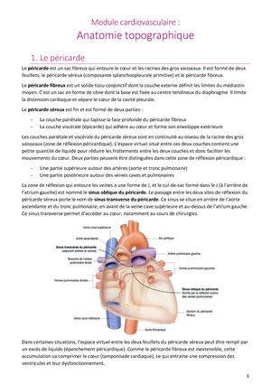 La glande mammaire Cours complet de Bac Médecine Anatomie