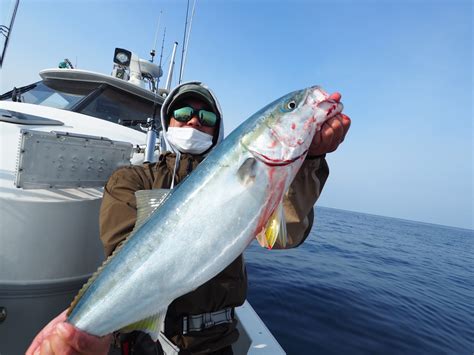 5月15日 日 青物ジギング【隠岐の島】終日しゃくりまくった結果、ヒラマサ7キロを頭に10本、メジロサイズはキープ、リリース含め60本前後でした。飽きずに良く釣られてました。 │ 山陰遊漁船