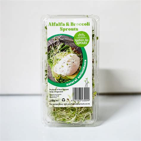 Alfalfa Broccoli Sprouts Southern Alp Sprouts