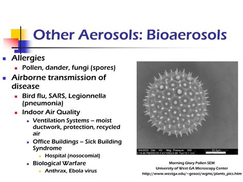 PPT - Health Effects of Air Pollution PowerPoint Presentation, free download - ID:310027