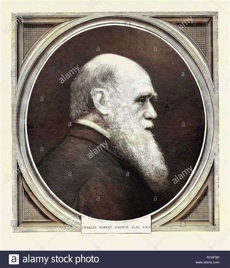 Charles Robert Darwin Hi Res Stock Photography And Images Alamy