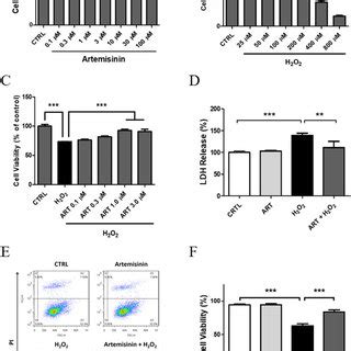 Artemisinin Cytoprotective Effects Towards H 2 O 2 Induced Necrosis In