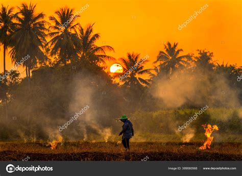 Farmers Burn Rice Fields Rice Causing Pm2 Dust Farmers Burning Stock