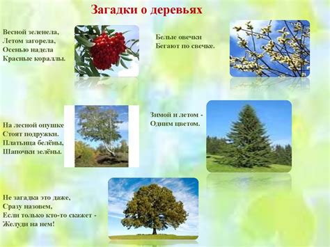Загадки о природе - online presentation