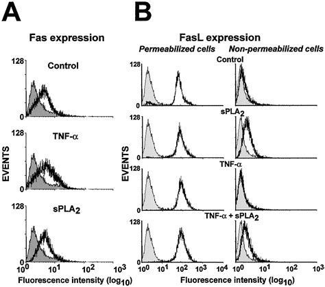 Secretory Phospholipase A Elicits Proinflammatory Changes And