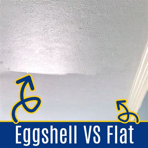 satin vs flat paint cost - Tania Valenti