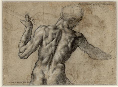 Michelangelo Buonarroti Standing Male Nude Seen From Behind Art Blart