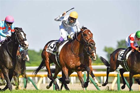 日本ダービー馬ドウデュース 凱旋門賞→bc参戦プランが浮上 サンスポzbat