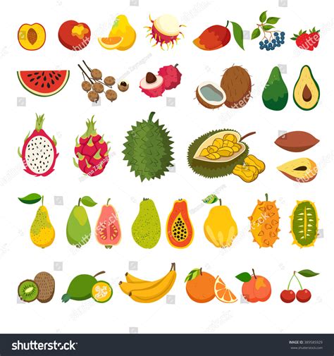 Exotic Fruits Vector Set Juicy Ripe 库存矢量图（免版税）389585929 Shutterstock