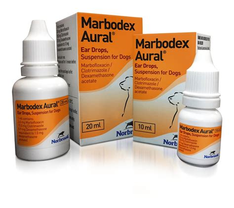 Ear Drops, Packaging Type: Bottle at best price in Nagpur | ID: 12382696330