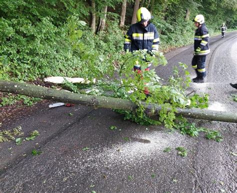 Freiwillige Feuerwehr Michlgleinz Baumbergung In Nassau