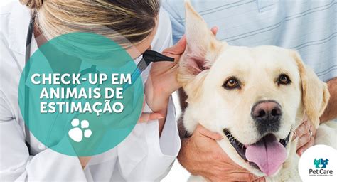 Check Up Em Animais De Estimação Pet Care Hospital Veterinário