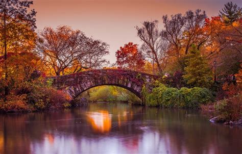 Wallpaper Autumn Trees Bridge River New York New York