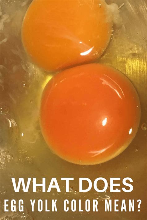 What Does Egg Yolk Color Mean Rebooted Mom