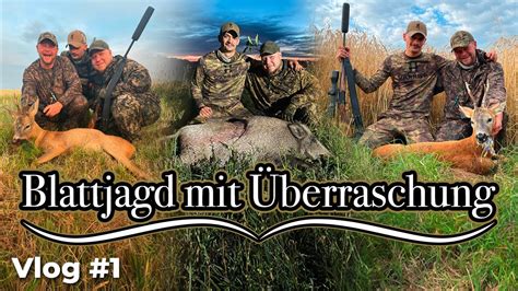 Blattjagd Auf Rehbock Nimmt Unerwartete Wendung Video Tagebuch 1