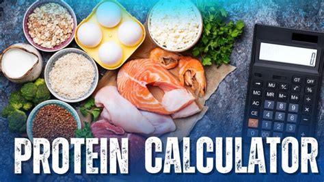 Protein Calculator Find Your Perfect Daily Protein Needs