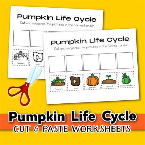 Free Printable Pumpkin Life Cycle Sequencing Worksheets The