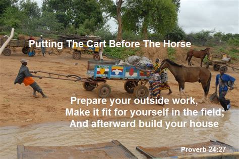 A Christian's Worldview: Putting The Cart Before The Horse Proverb 24:27