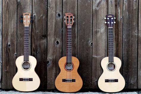 Melhores Marcas De Ukulele Ranking Melhores Custo Benef Cio