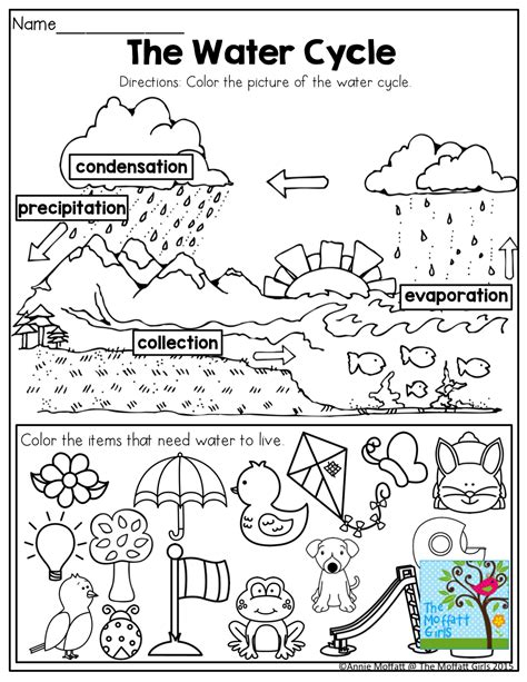 Kindergarten The Water Cycle Worksheet