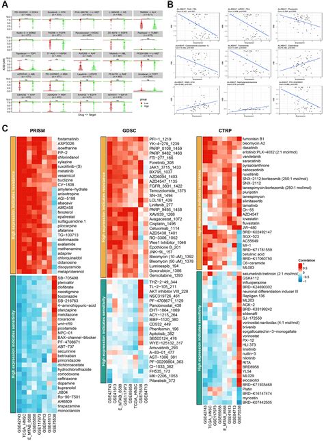 Integrative Pan Cancer Analysis Reveals The Prognostic And