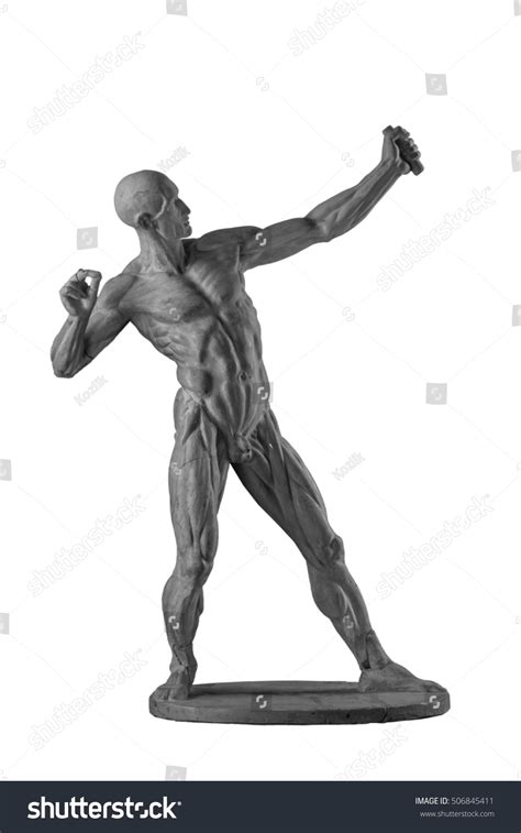 Plaster Statue Naked Anatomical Human Figure Stock Photo 506845411