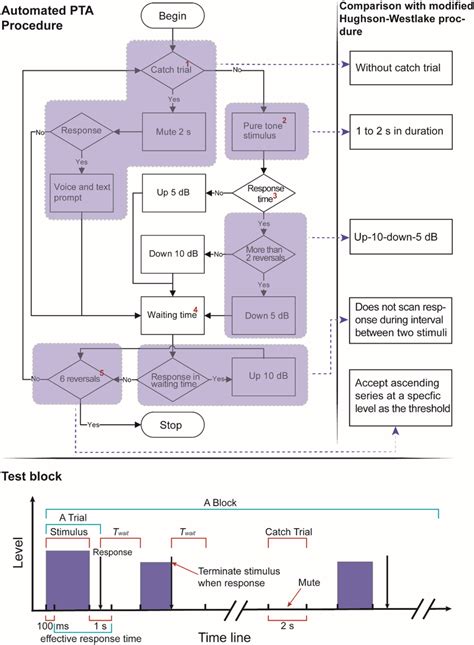 Flow diagram of the automated audiometry procedure. The dashed lines ...