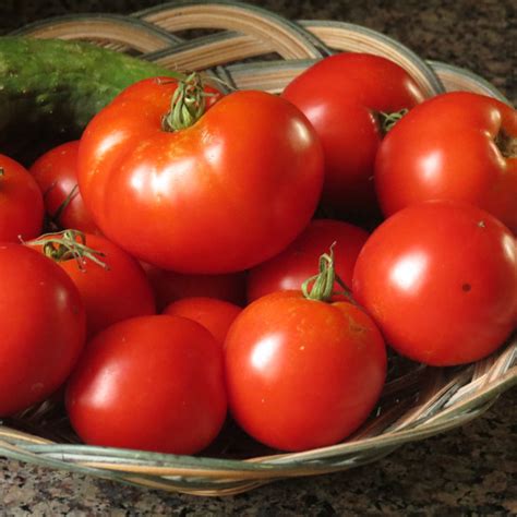 It’s time for Home Grown Tomatoes (no kidding!) | Picking in the ...