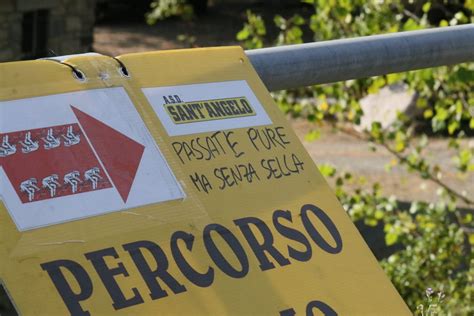 Un Atto Vandalico Alla Gf Citt Di Casteggio Ha Costretto Decine Di