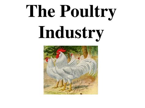 Ppt The Poultry Industry Powerpoint Presentation Free Download Id 1743969