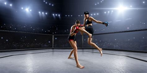 Female Mma Fighters In Professional Boxing Ring Stock Photo Download